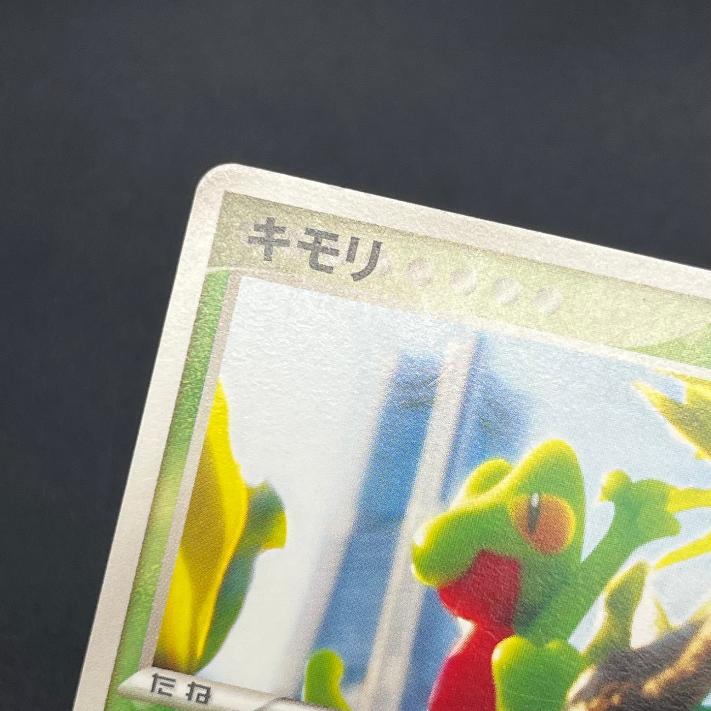 Treecko 037/PCG-P Yokohama Center Opening Pokemon Card