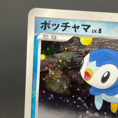 Piplup 003/PPP Promo Earn 2000 EXP Points Pokemon Card