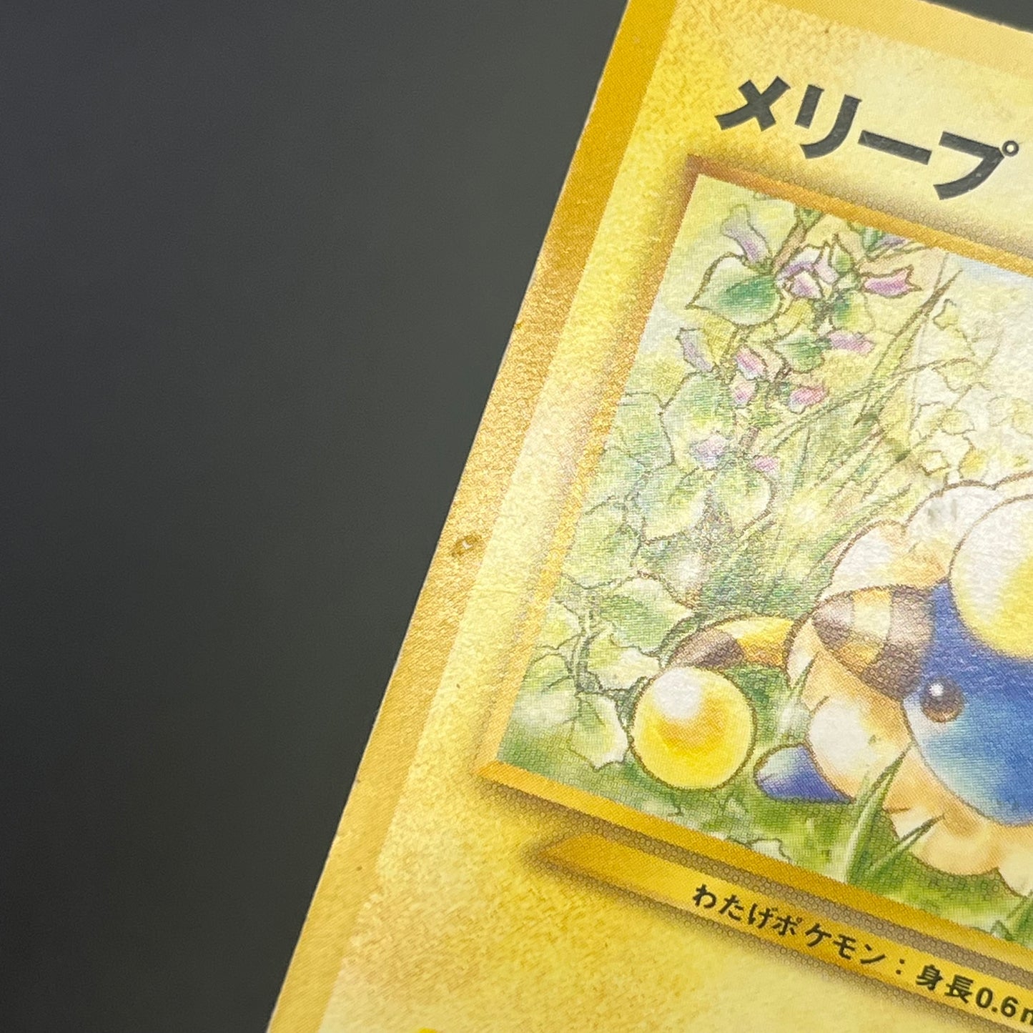 Mareep No. 179 Intro Pack Totodile Deck Pokémon Card
