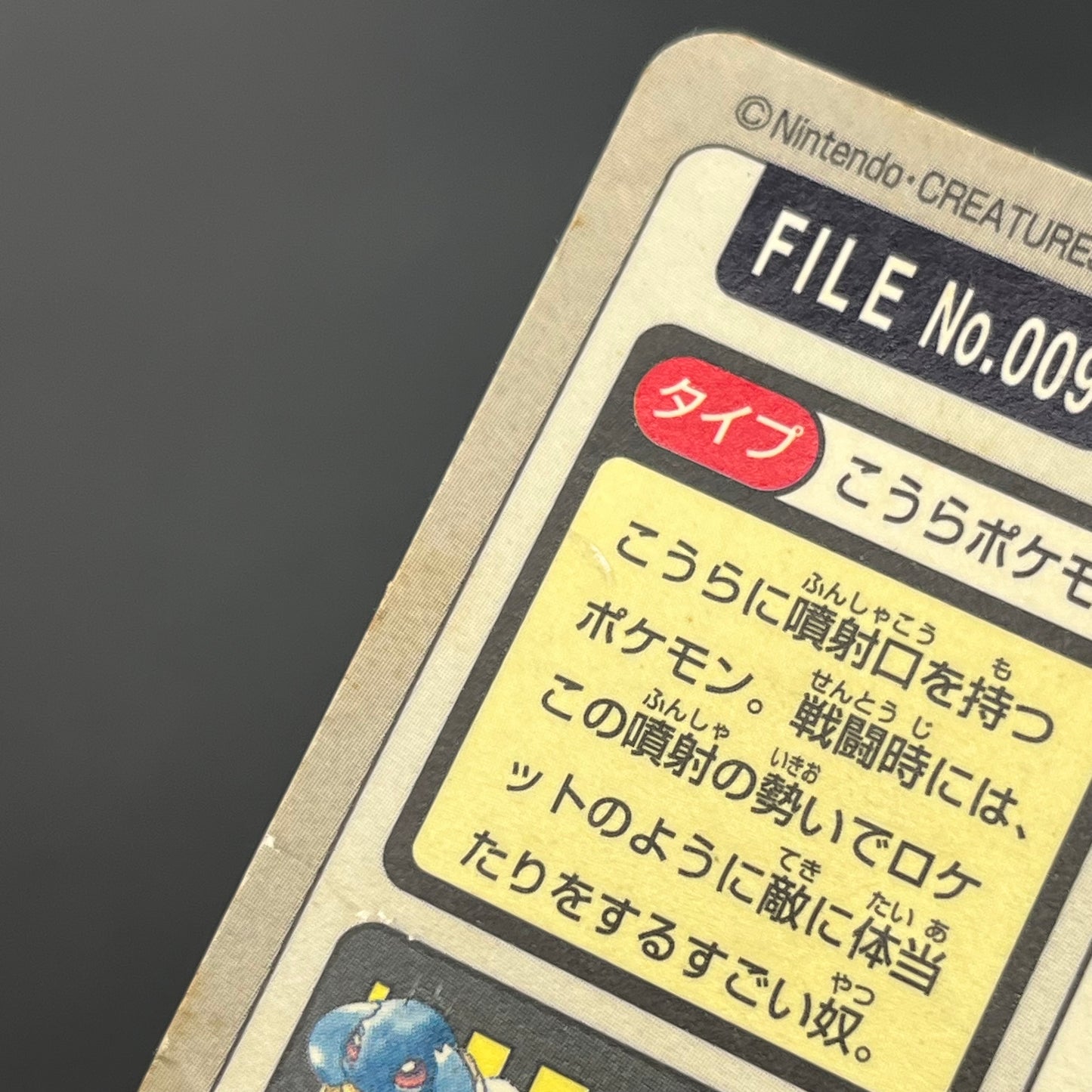 Blastoise Venusaur Bandai Carddass Holo Japanese Card