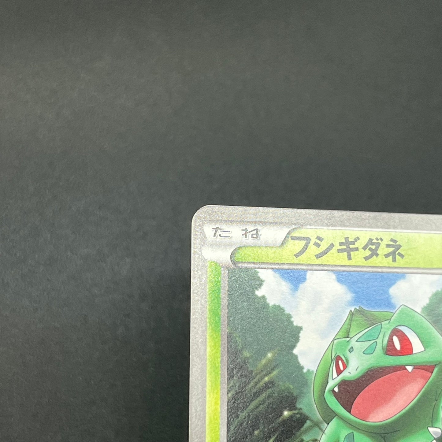 Bulbasaur 124/BW-P Gym Challenge Promo Pokémon Card