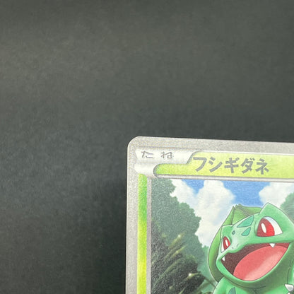 Bulbasaur 124/BW-P Gym Challenge Promo Pokémon Card