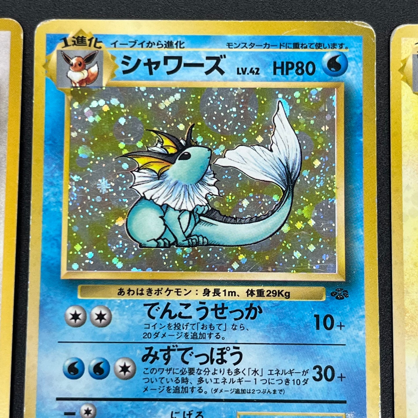 Jolteon Vaporeon Flareon Jungle Holo Old Back Pokémon Card