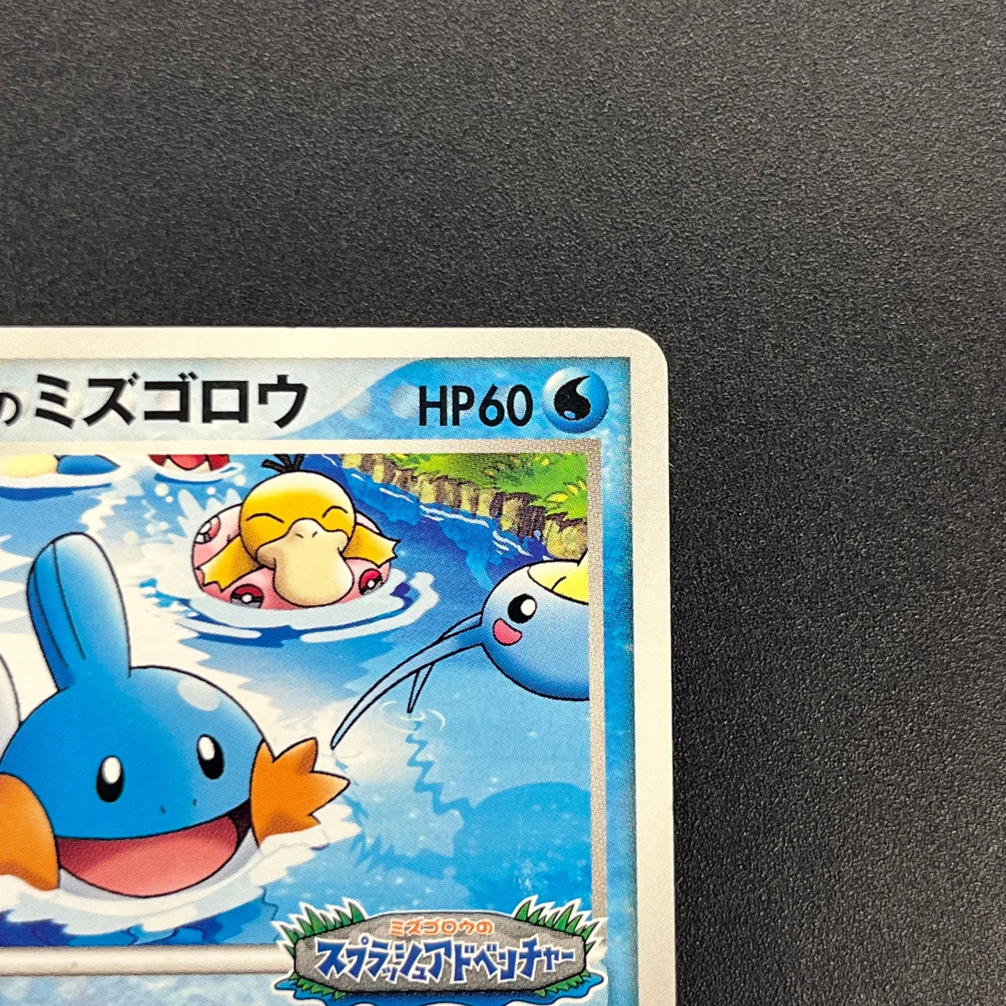 PokePark's Mudkip 048/PCG-P Promo Japanese Pokemon Card