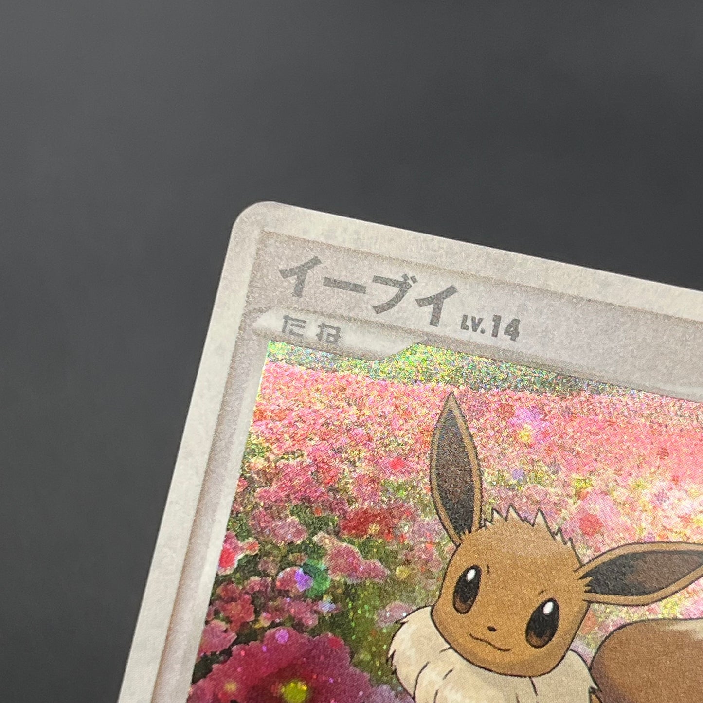 Eevee 063/DP-P Promo Trade Please event Pokemon Card