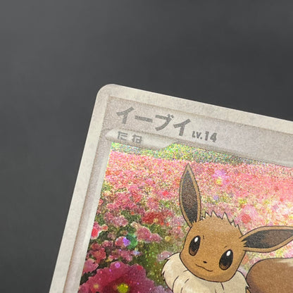 Eevee 063/DP-P Promo Trade Please event Pokemon Card