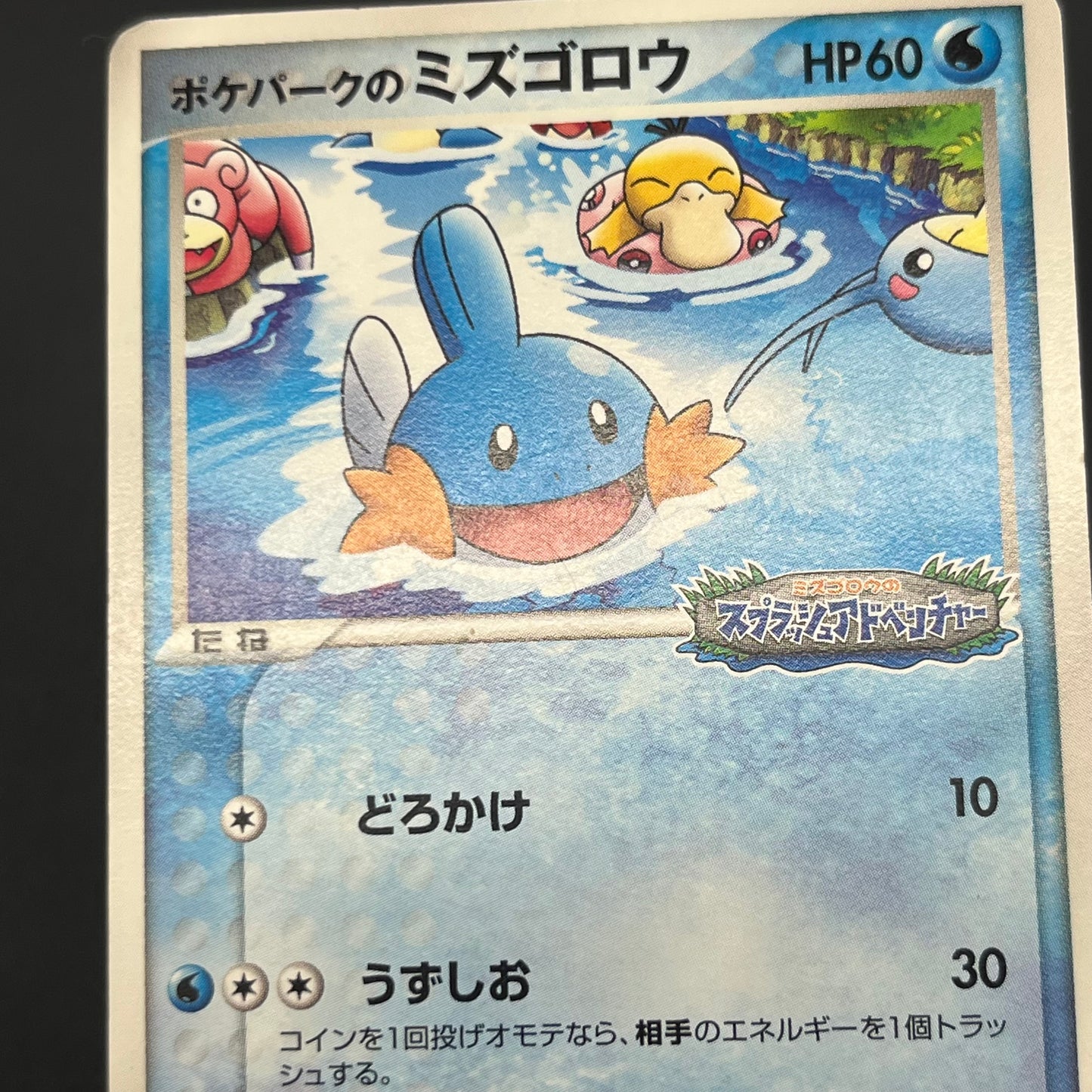 PokePark's Mudkip 048/PCG-P Promo Japanese Pokemon Card