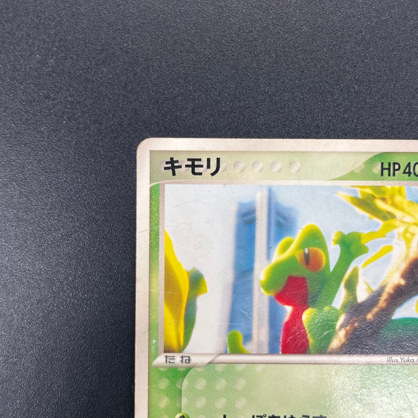 Treecko 037/PCG-P HP Yokohama Center Opening Pokémon Card