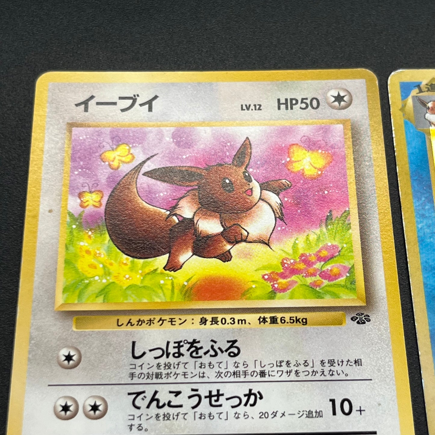 Jolteon Vaporeon Flareon Jungle Holo Old Back Pokémon Card