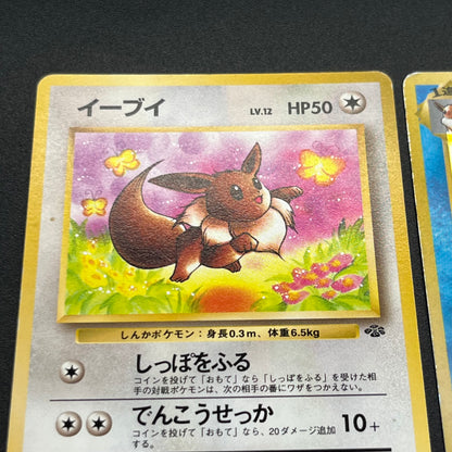 Jolteon Vaporeon Flareon Jungle Holo Old Back Pokémon Card