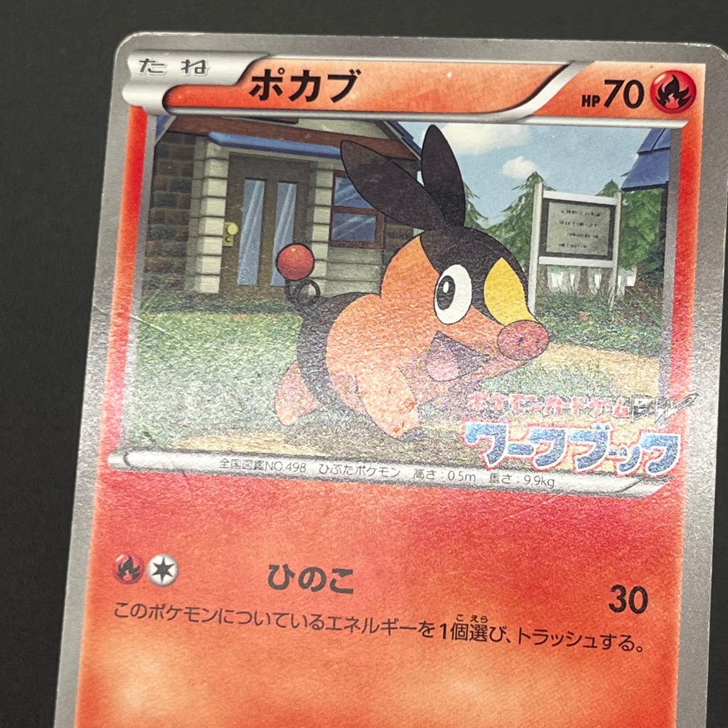 Oshawott Tepig Snivy BW-P Workbook Promo 3set Pokemon Card