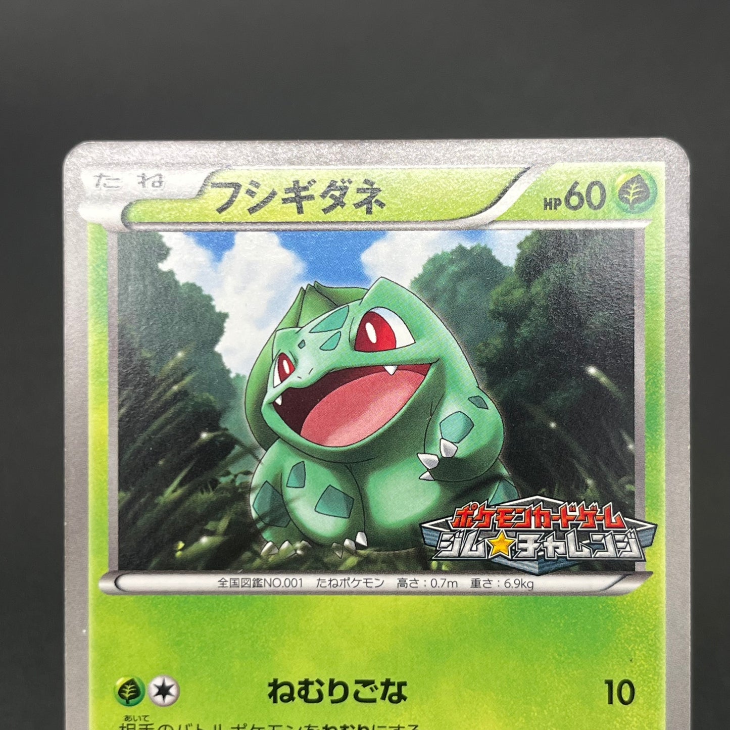 Bulbasaur 124/BW-P Gym Challenge Promo Pokémon Card