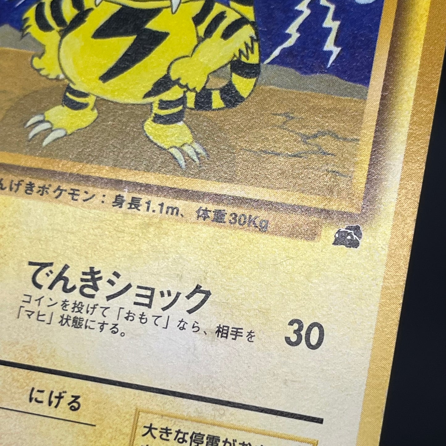 Electabuzz Intro Pack No.125 Bulbasaur Deck Pokémon Card