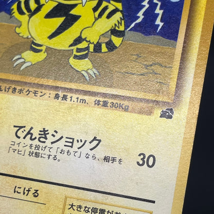 Electabuzz Intro Pack No.125 Bulbasaur Deck Pokémon Card