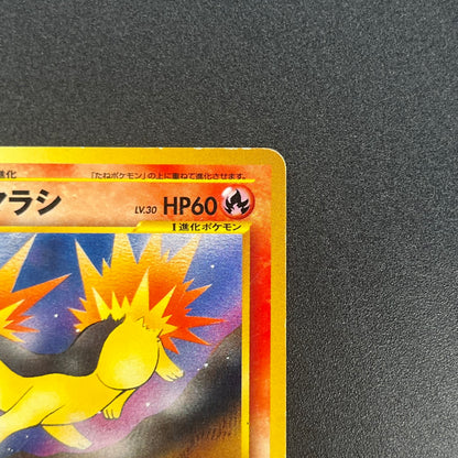 Quilava 156 Intro Pack Chikorita Half Deck Pokémon Card