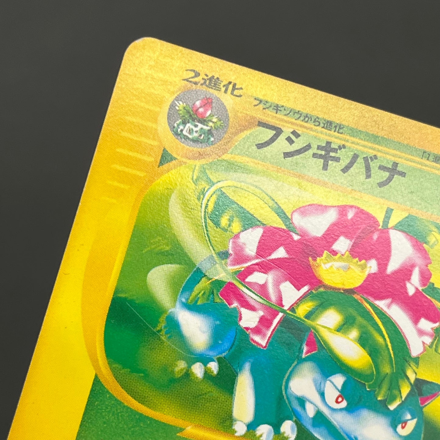 Charizard 012/029 Blastoise Venusaur E-Starter Deck Card