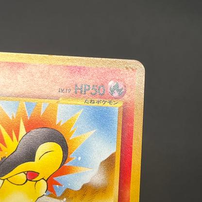 Cyndaquil 155 Intro Pack Neo Chikorita Deck Pokemon card