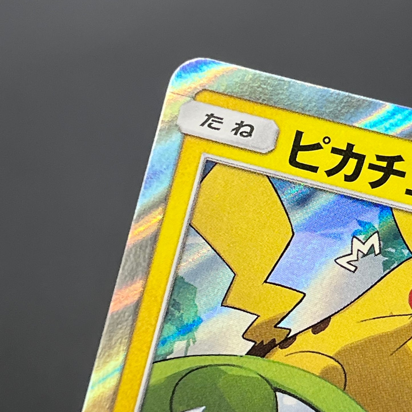 Pikachu 227/SM-P Promo Friendly Shop Japanese Pokémon Card