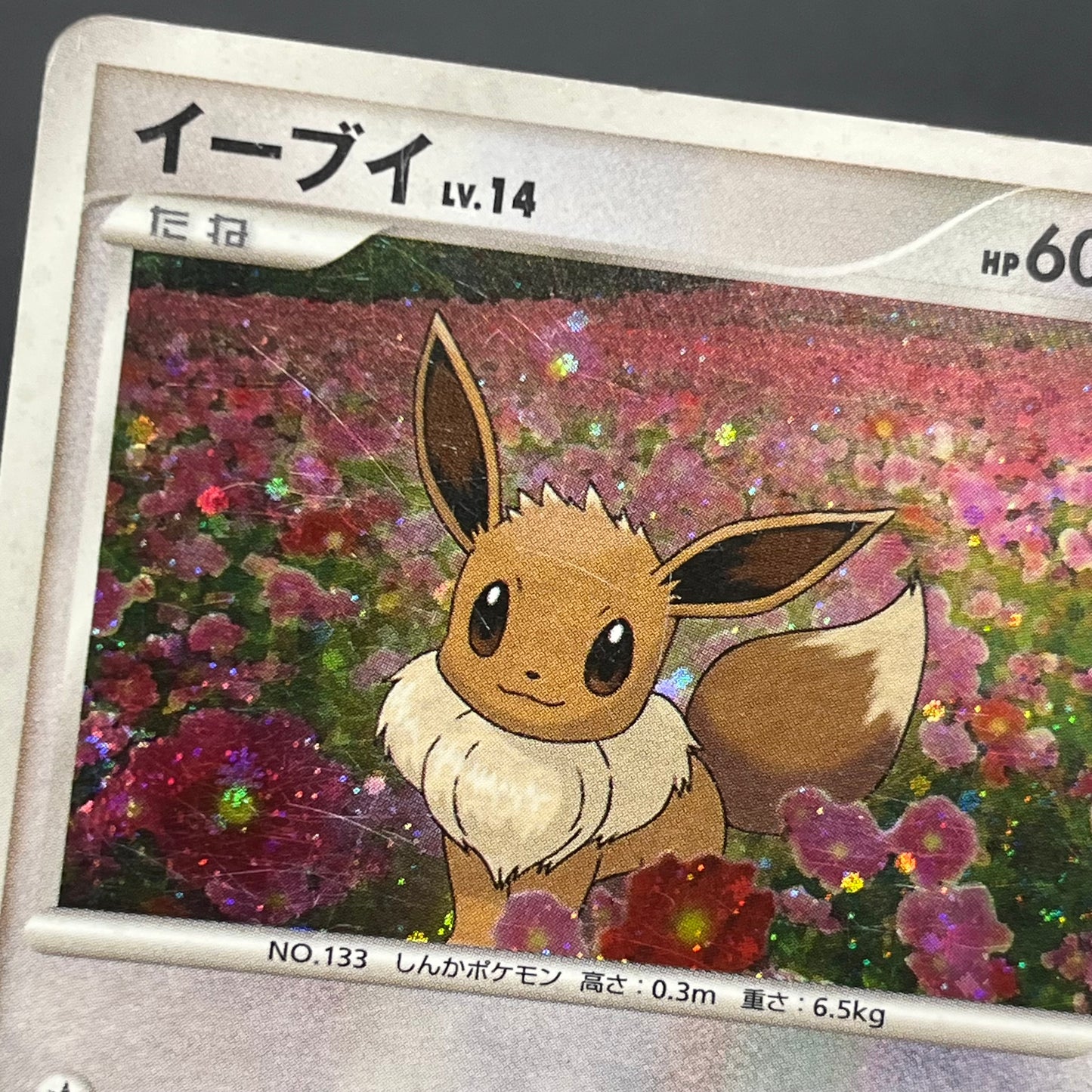Eevee 063/DP-P Promo Trade Please event Pokémon Card