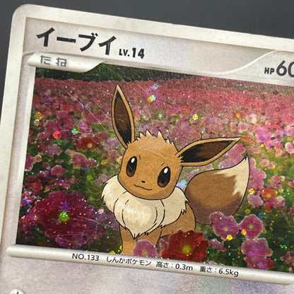 Eevee 063/DP-P Promo Trade Please event Pokémon Card