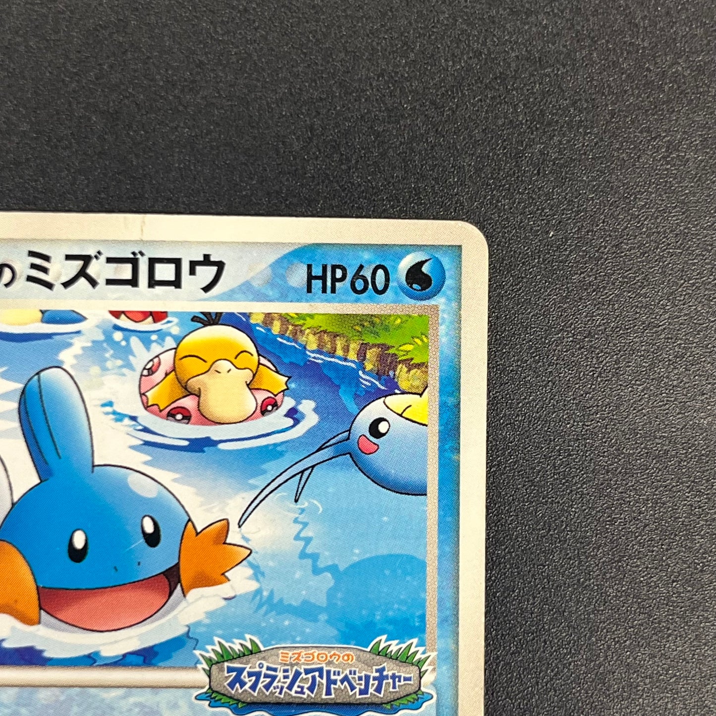 PokePark's Mudkip 048/PCG-P Promo Japanese Pokemon Card