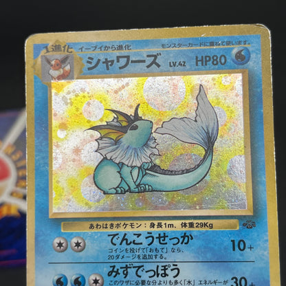Jolteon Vaporeon Flareon Jungle Holo Old Back Pokémon Card