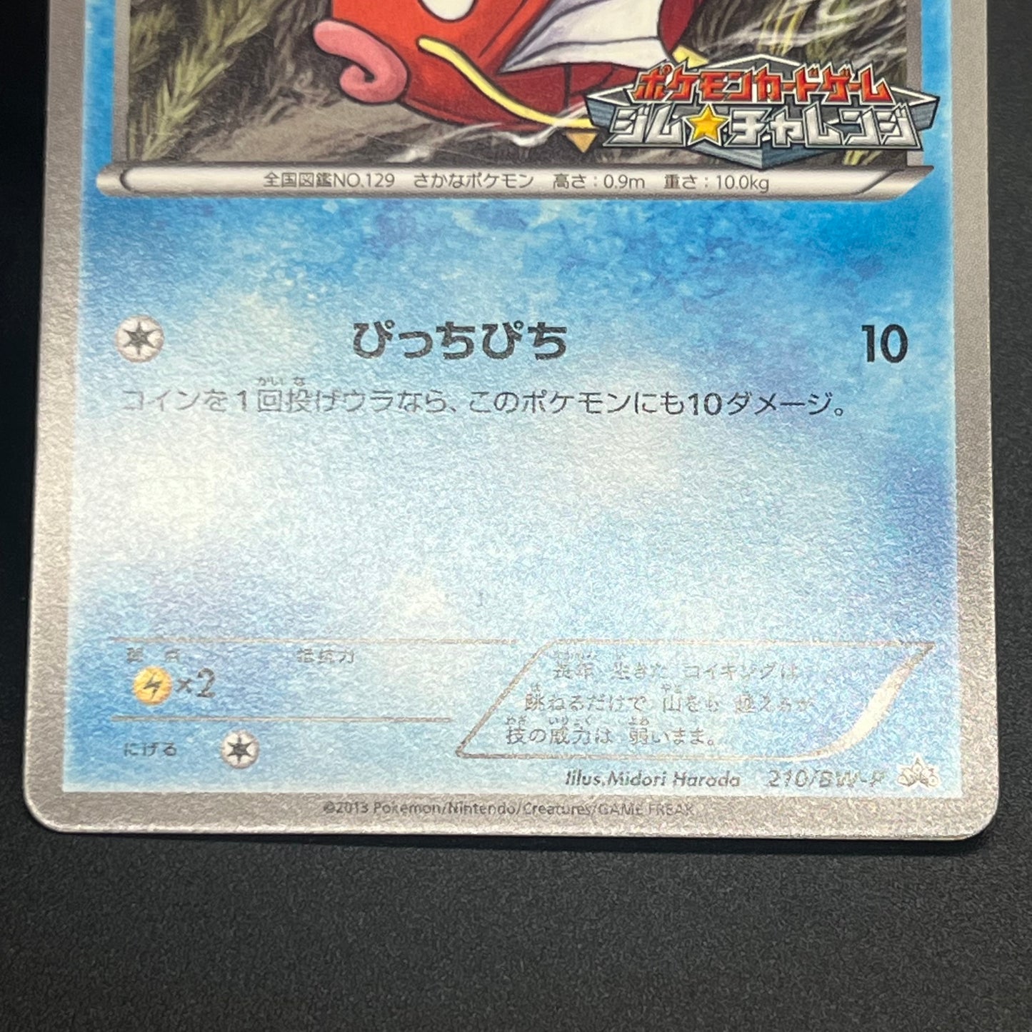 Magikarp Gym Challenge Promo 210/BW-P Japanese Card