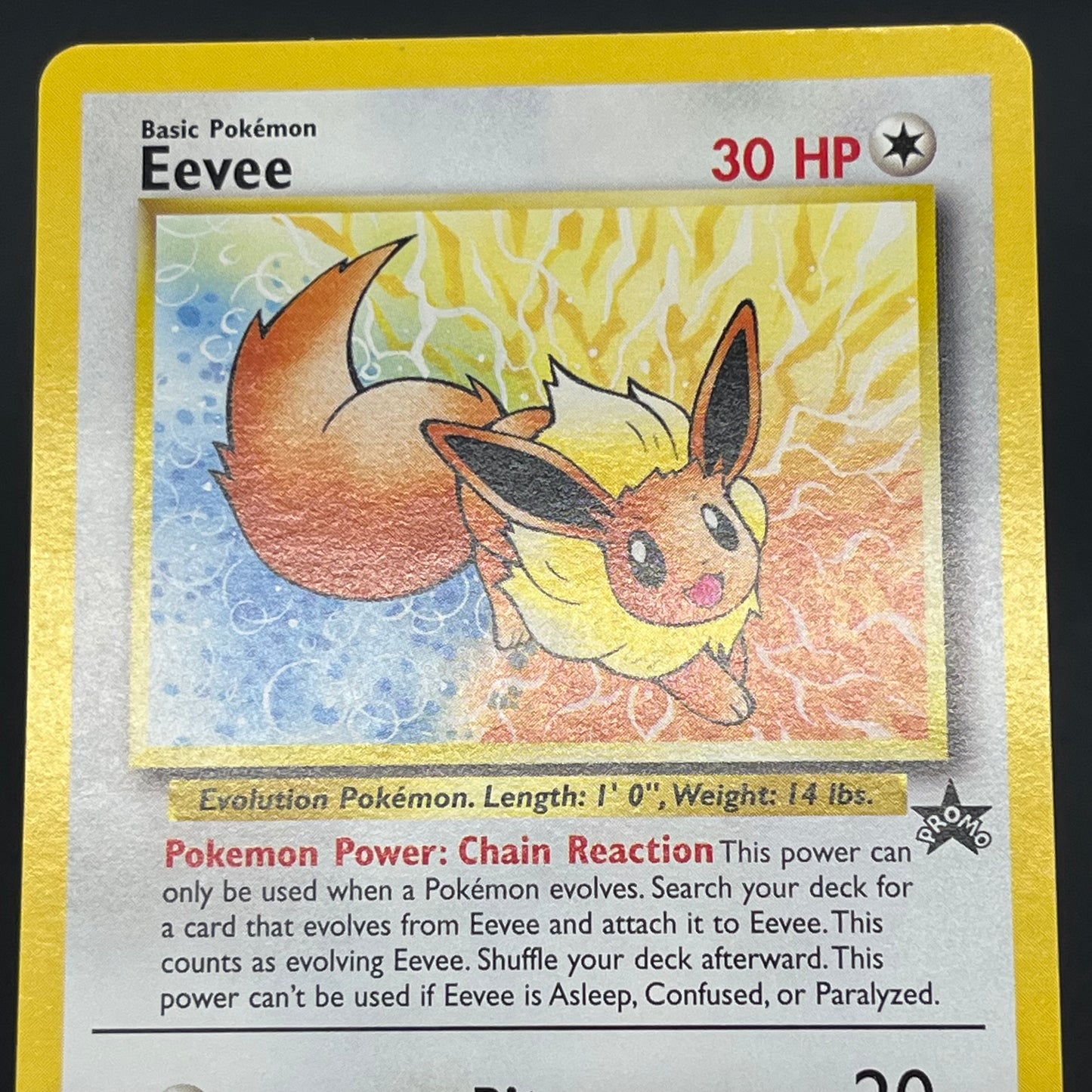 Eevee 11 JR Stamp Rally Promo 2000 Pokémon Card