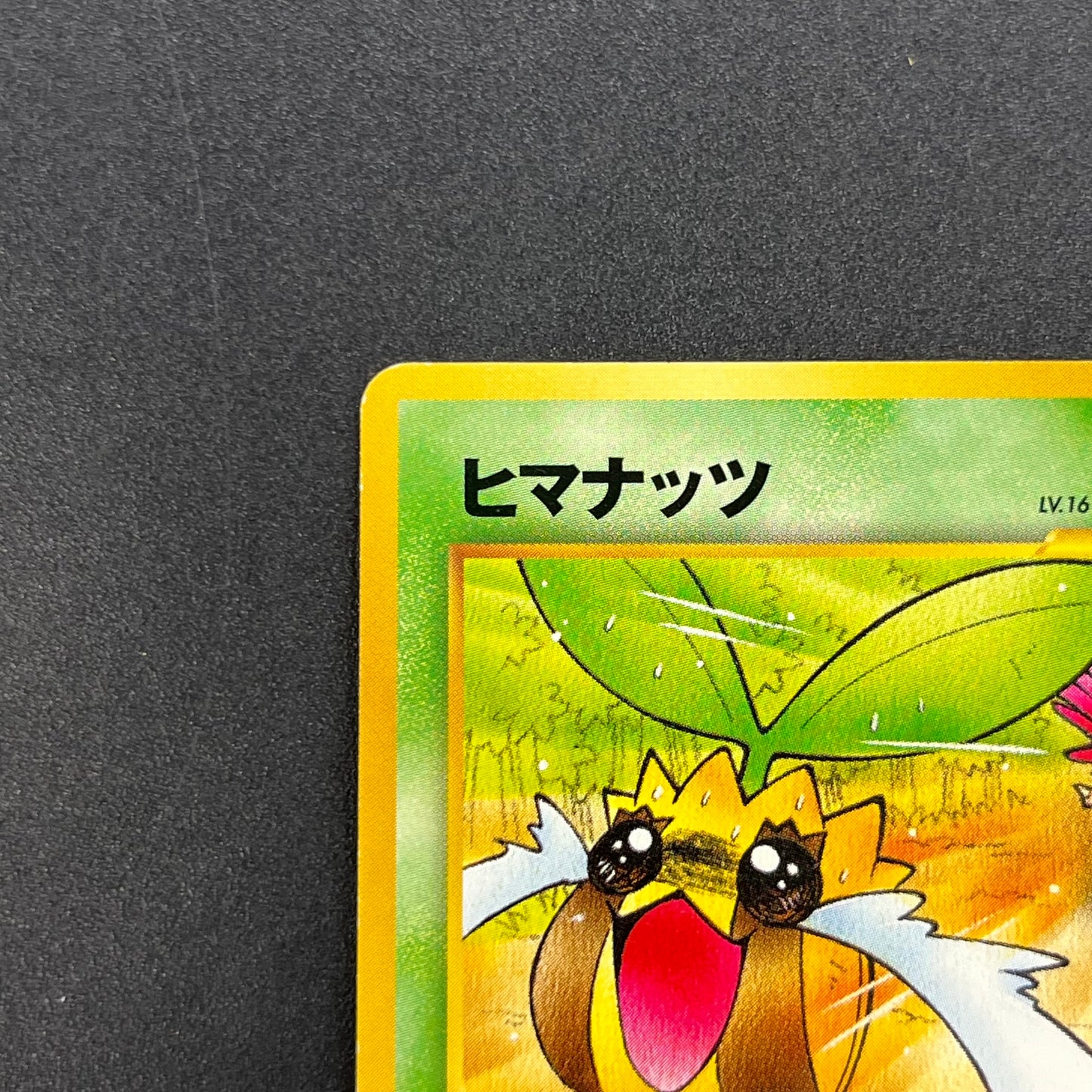 Sunkern 191 Natta Wake Vol.4 LP Promo Vintage Pokémon Card