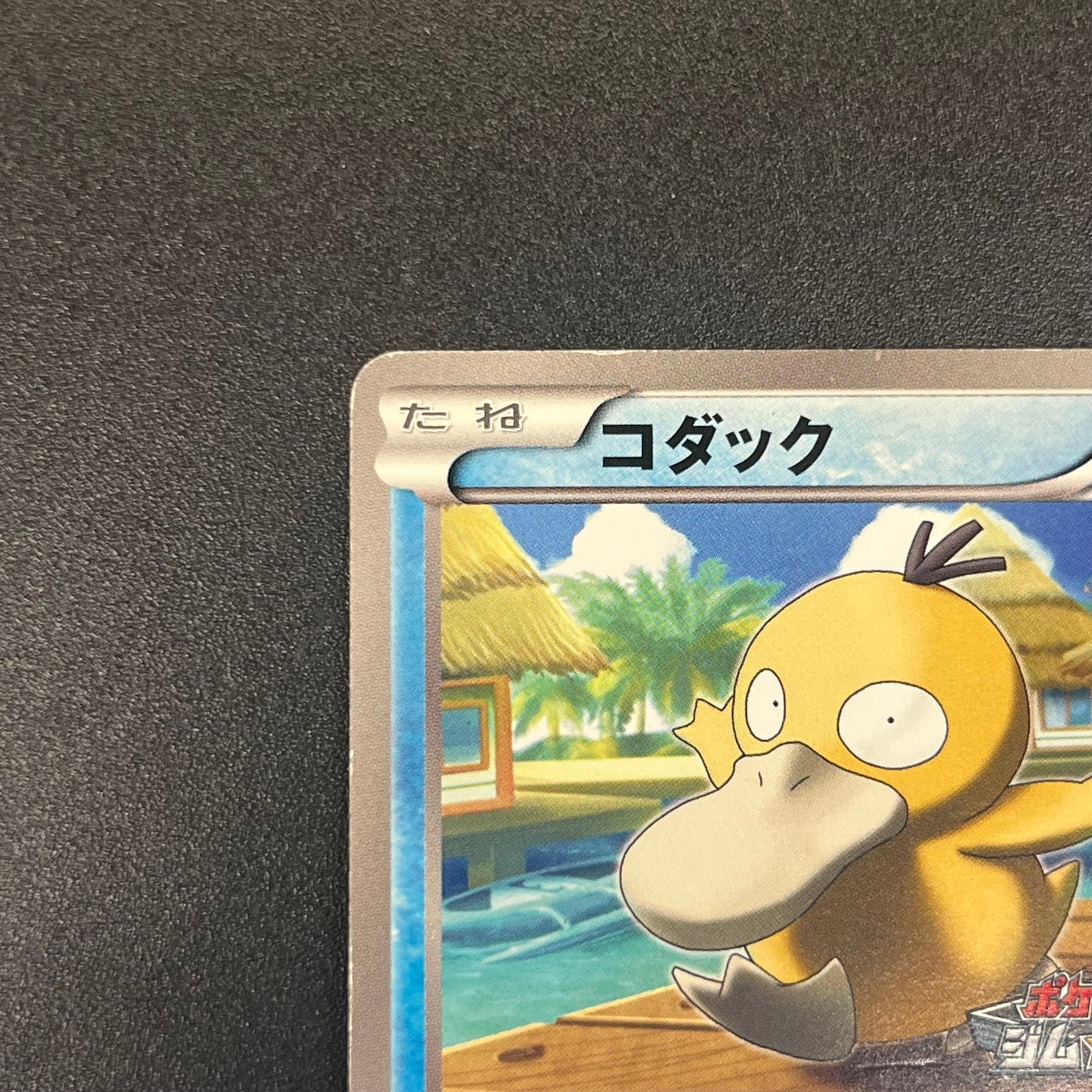 Psyduck 167/BW-P Gym Challenge Promo Japanese Pokémon Card