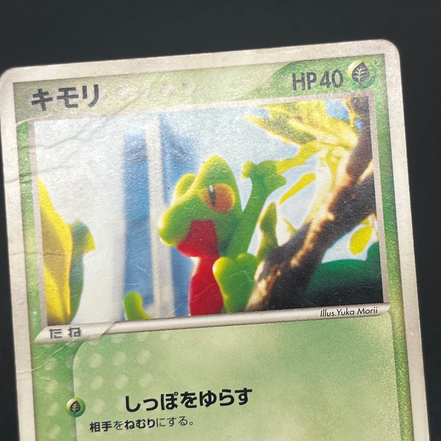 Treecko 037/PCG-P HP Yokohama Center Opening Pokémon Card