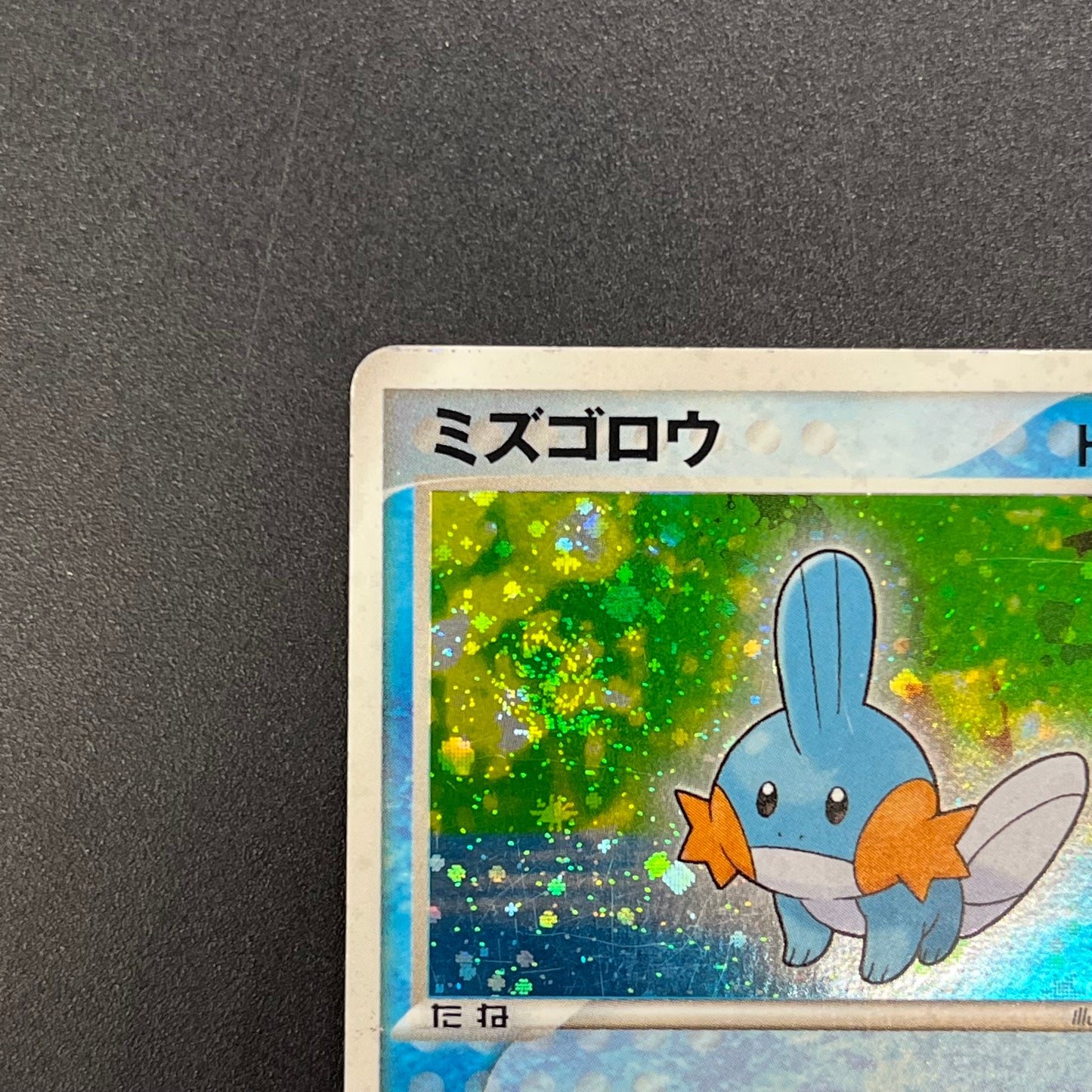 Mudkip 003/019 Mudkip Deck Japanese Pokémon Card