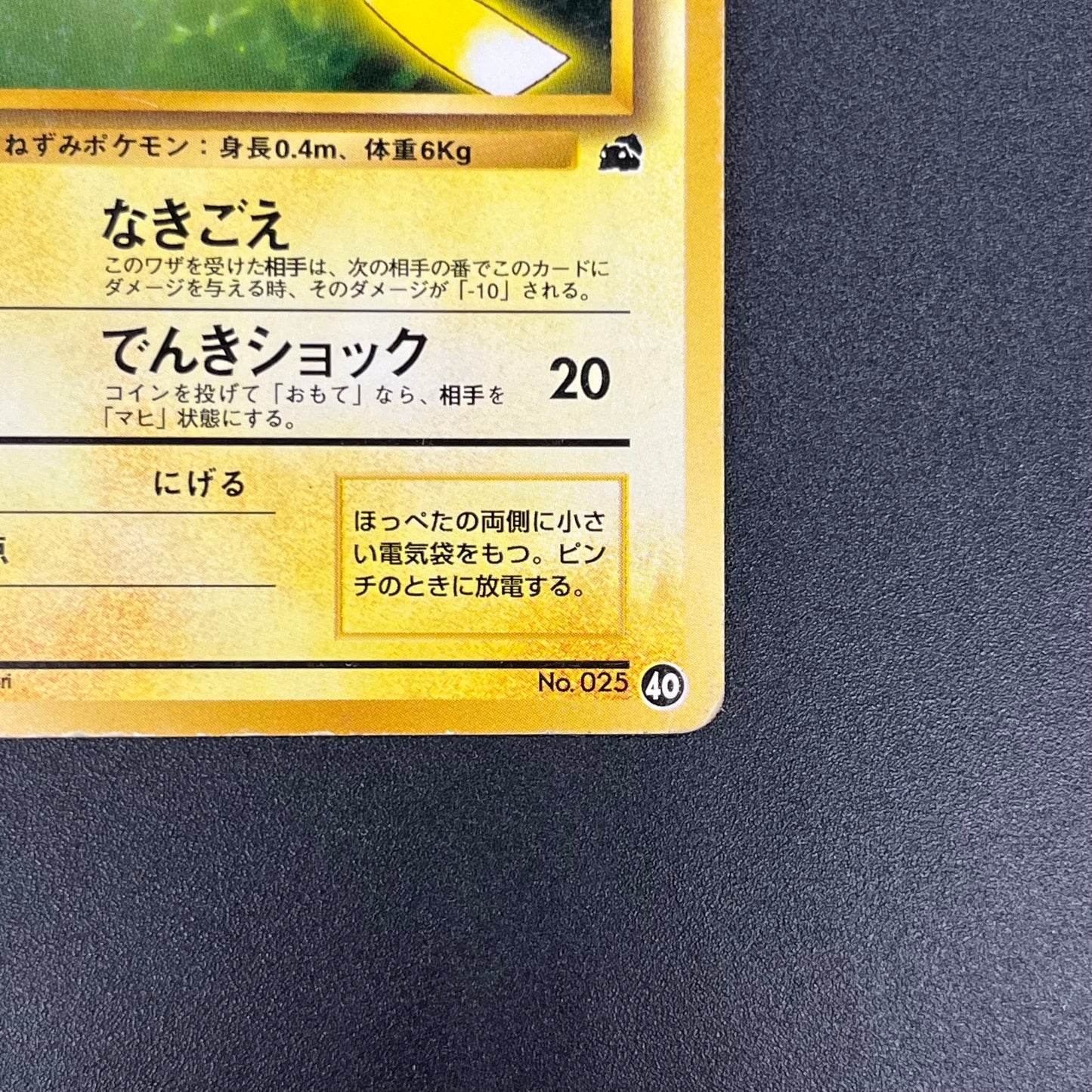 Pikachu No. 025 Intro Pack Bulbasaur Deck Pokémon Card