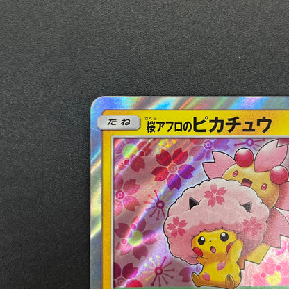 Cherry Blossom Afro Pikachu Promo 211/SM-P Pokémon Card