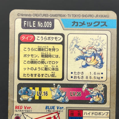 Blastoise Venusaur Bandai Carddass Holo Japanese Card