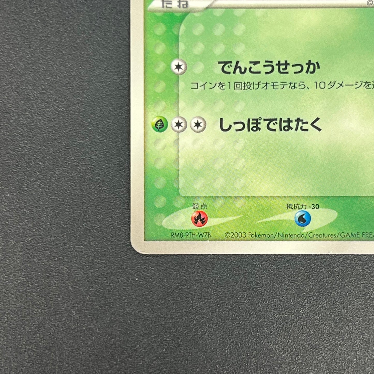 Ash's Treecko 036/ADV-P Shogakukan Promo Pokémon Card