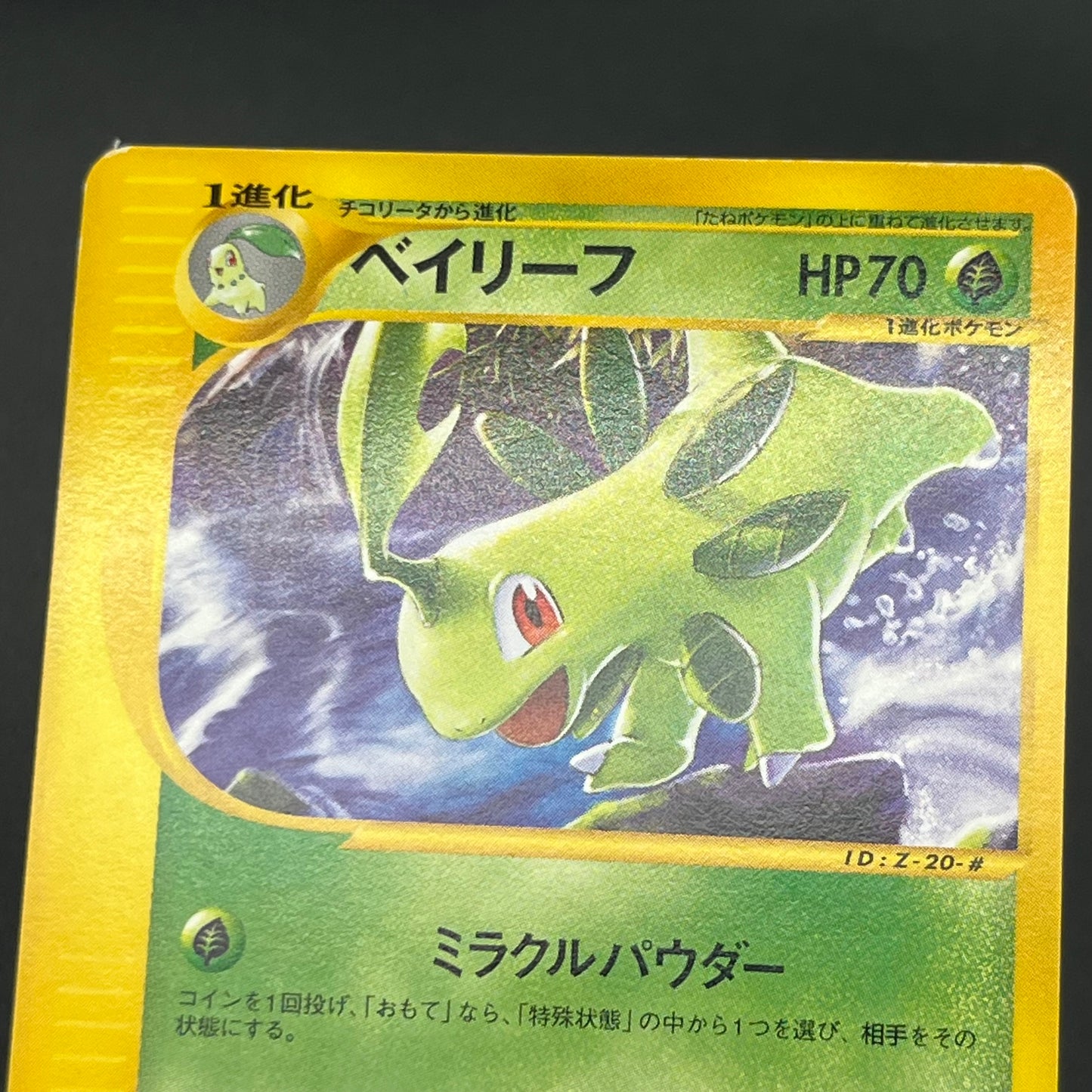 Quilava 008/T Bayleef Trainers Vol. 16 magazine Promo Card