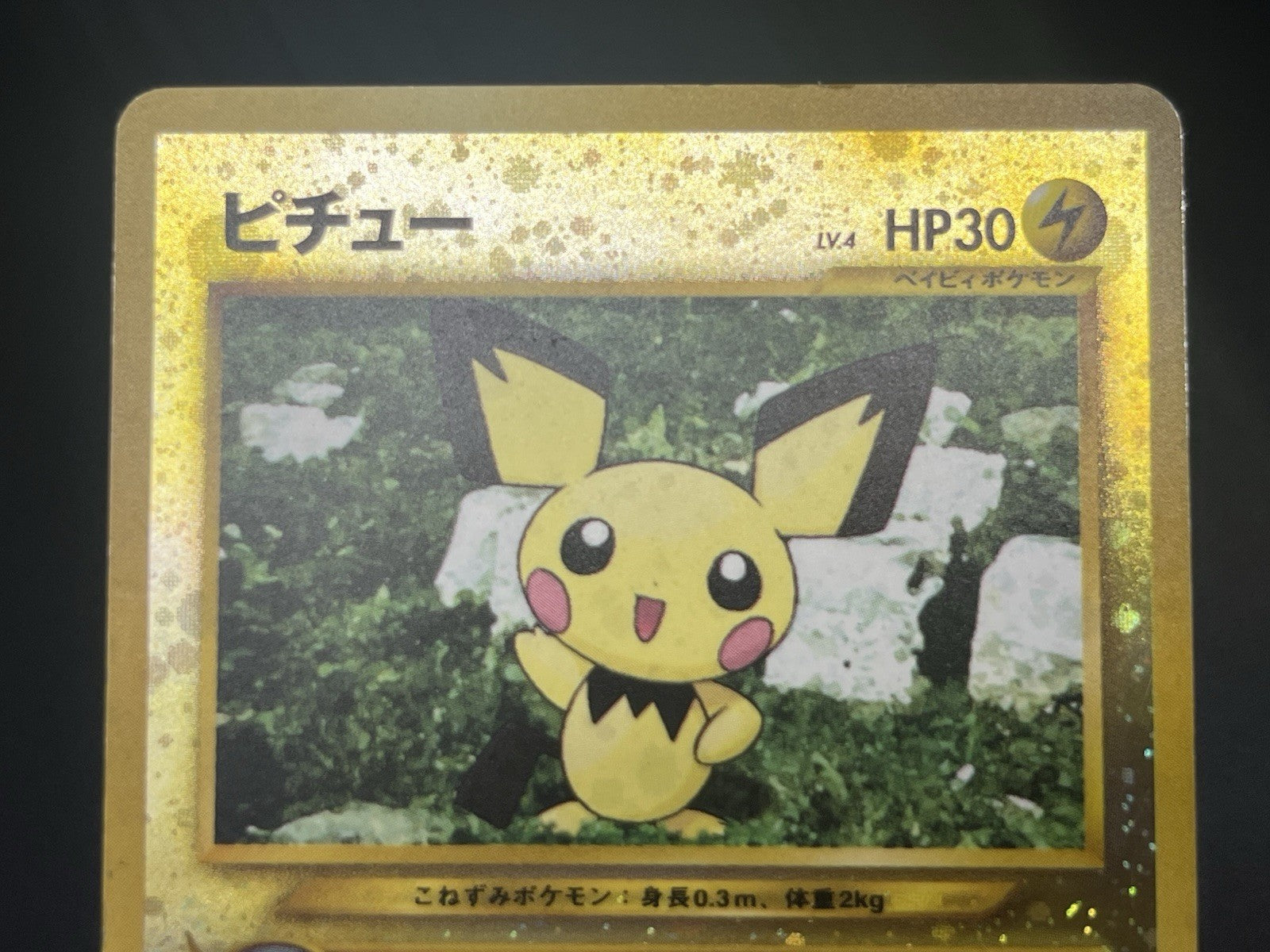 [No Import Duty (US)] Charizard Pichu & Entei Promo Neo Premium File 2 Card