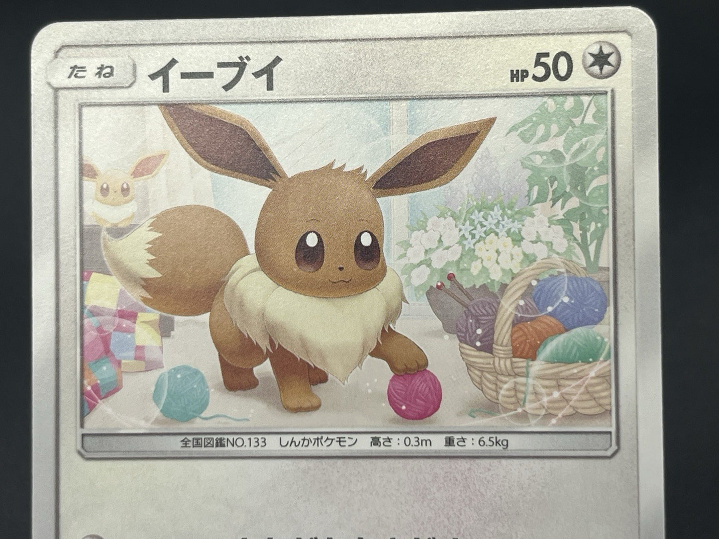 [No Import Duty (US)] Eevee 243/SM-P Classroom 295/SM-P Promo Pokemon Card Japan
