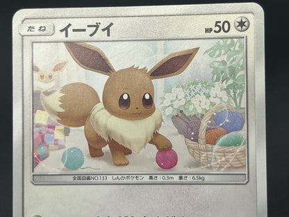 [No Import Duty (US)] Eevee 243/SM-P Classroom 295/SM-P Promo Pokemon Card Japan
