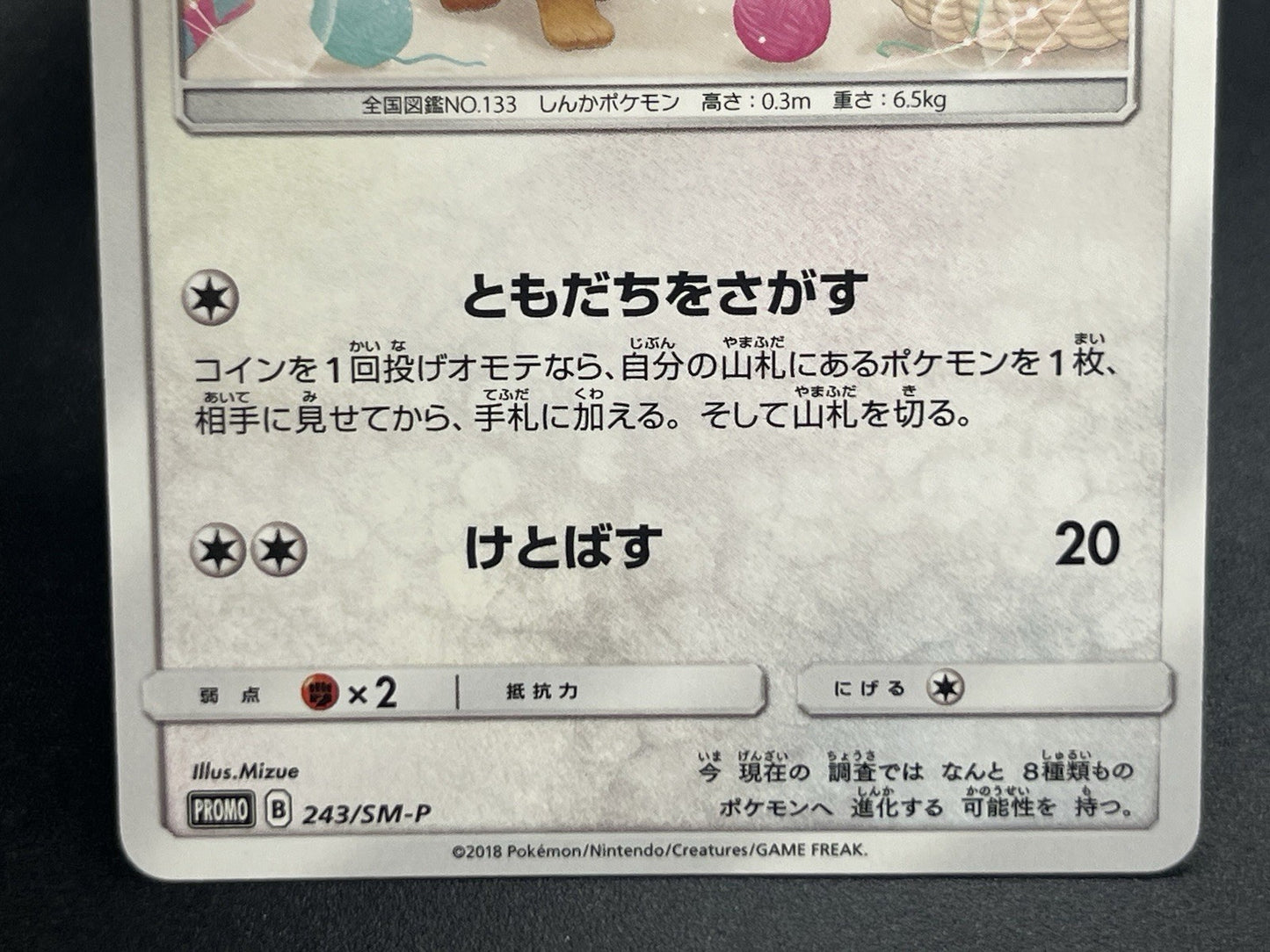 [No Import Duty (US)] Eevee 243/SM-P Classroom 295/SM-P Promo Pokemon Card Japan