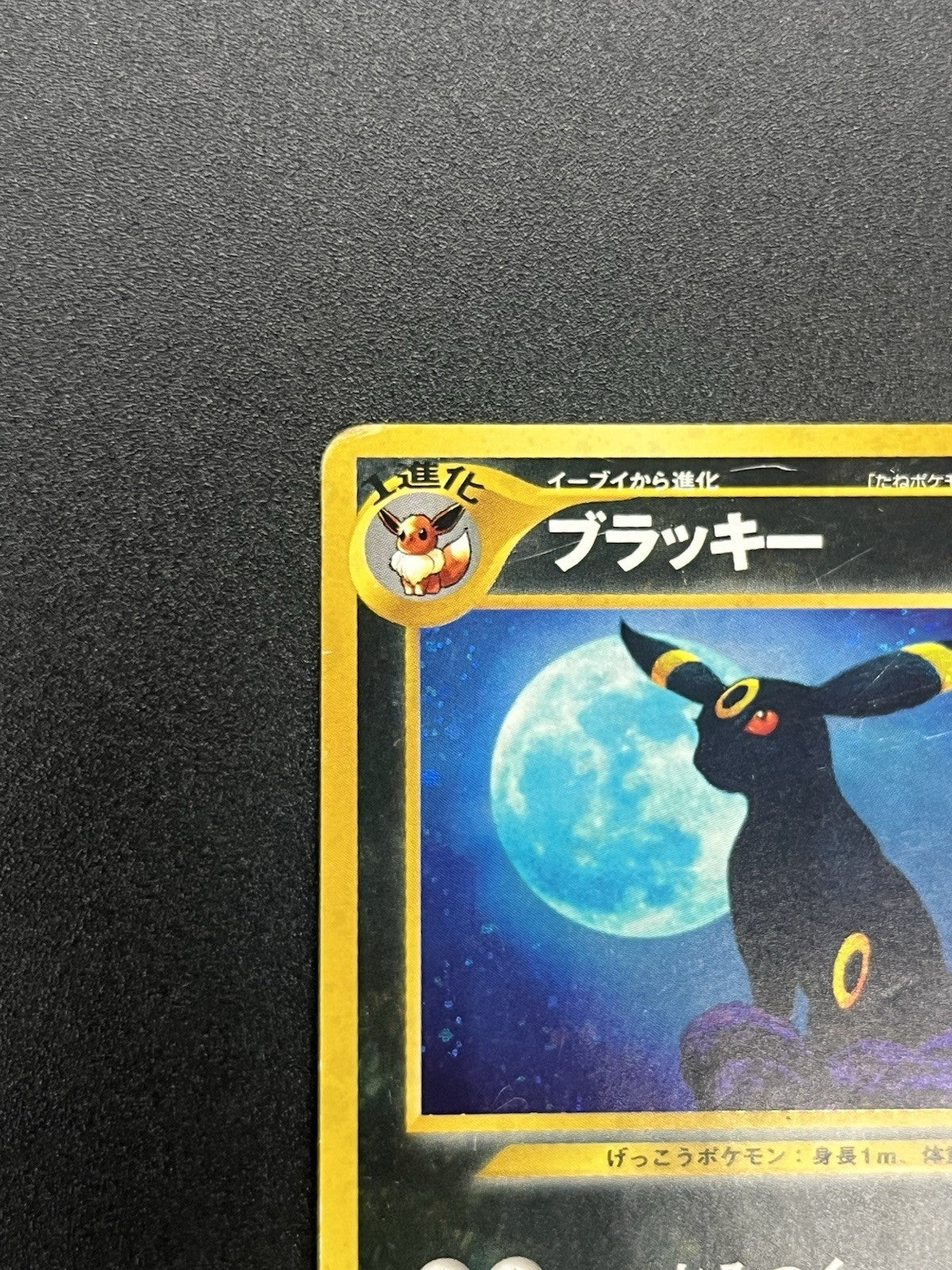 [No Import Duty (US)]  Umbreon Holo No.197 Neo 2 Discovery old back Pokemon Card