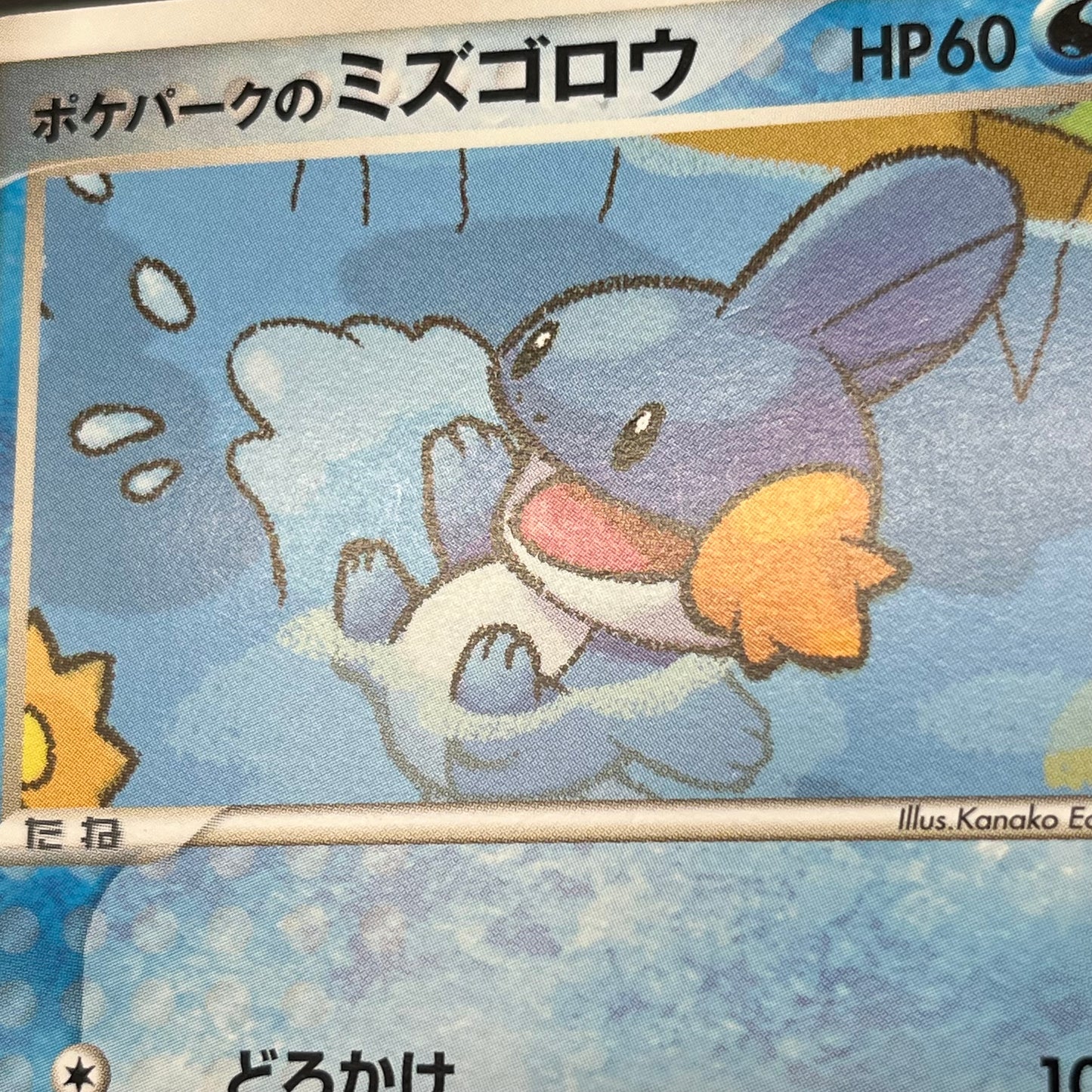Pokepark's Mudkip 003/009 Pokepark Forest MP Pokémon Card