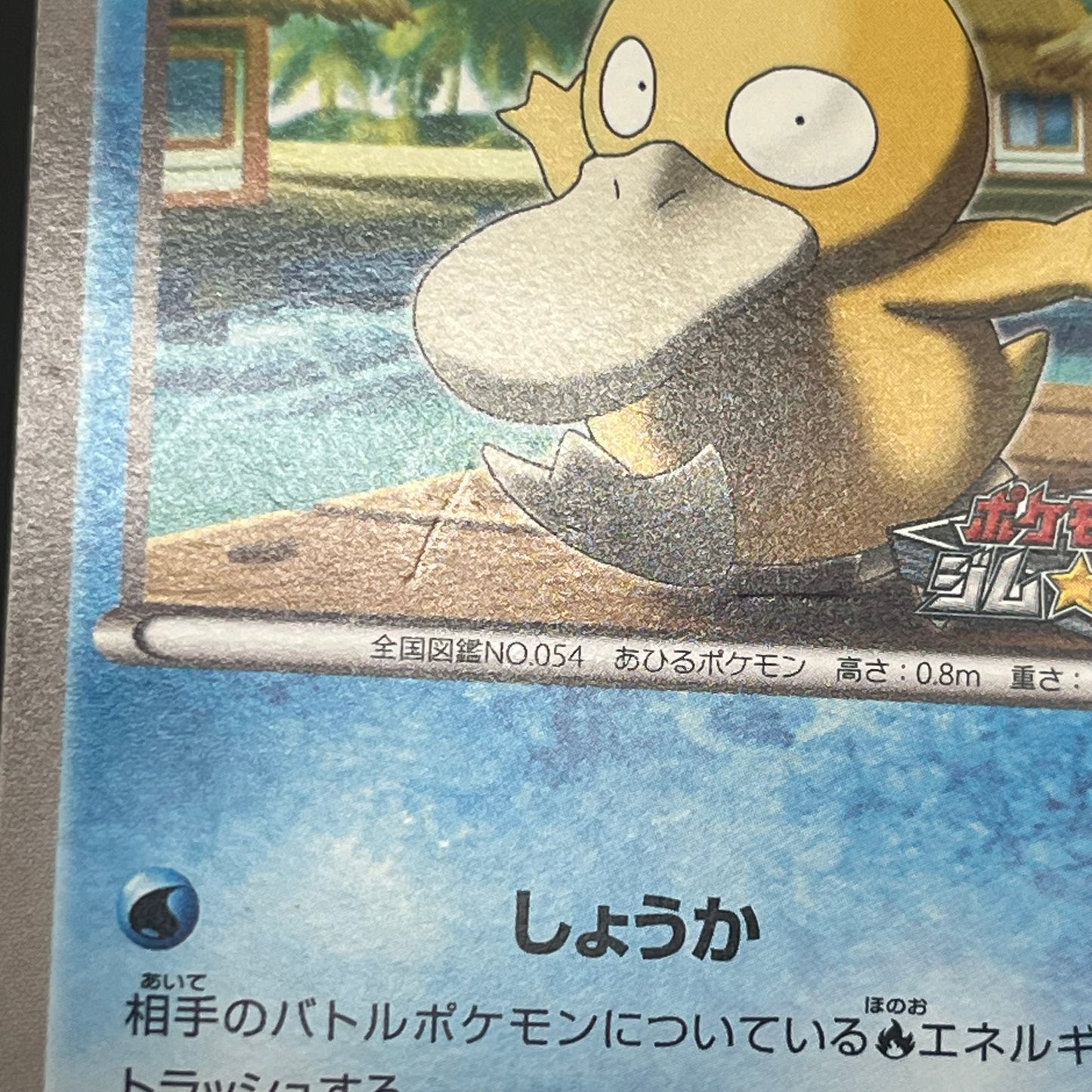 Psyduck 167/BW-P Gym Challenge Promo Japanese Pokémon Card