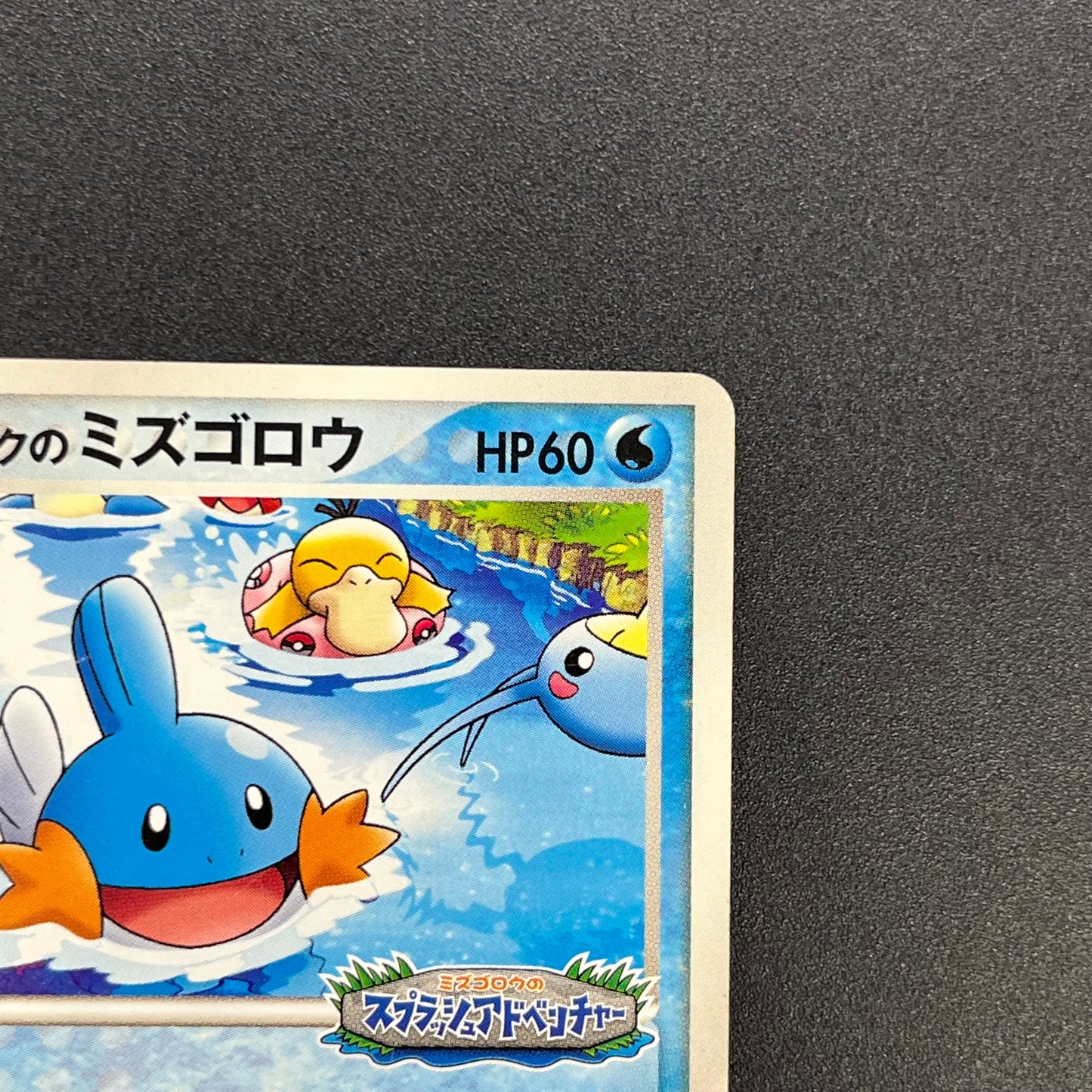 PokePark's Mudkip 048/PCG-P Promo Japanese Pokemon Card