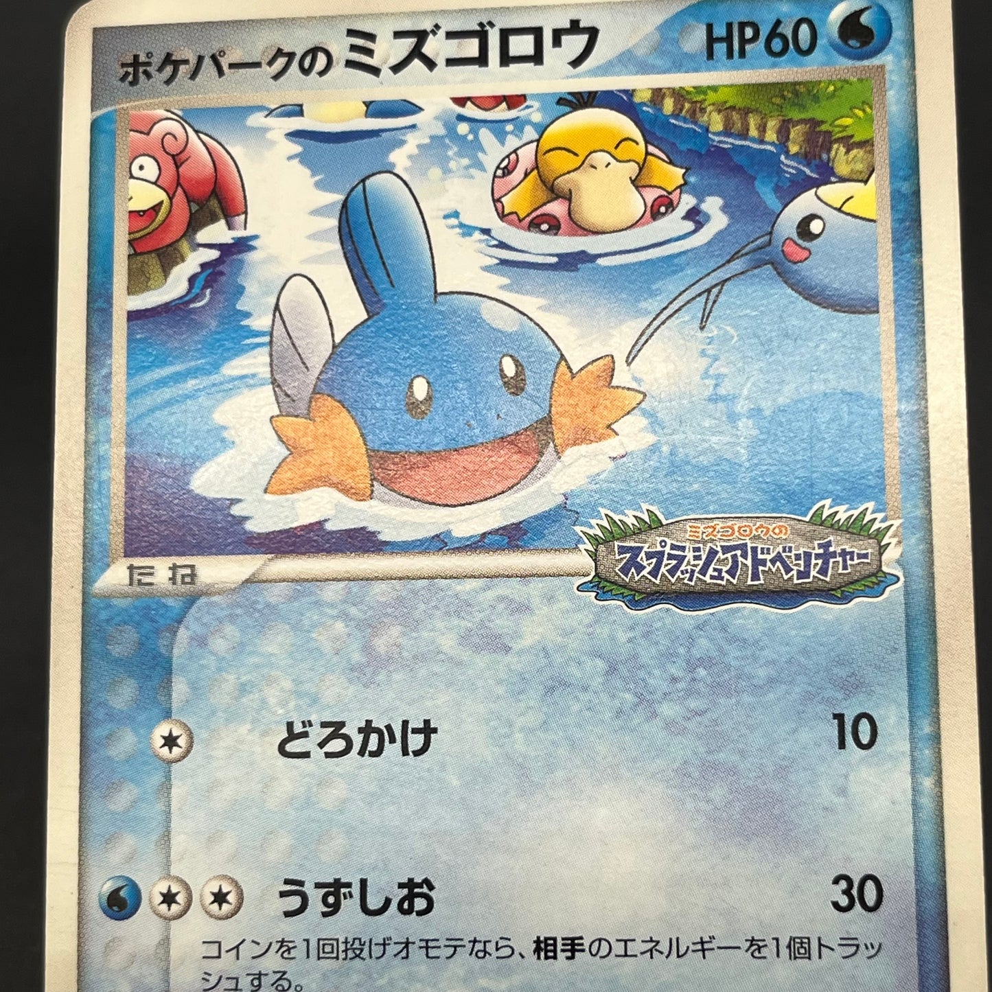 PokePark's Mudkip 048/PCG-P Promo Japanese Pokemon Card