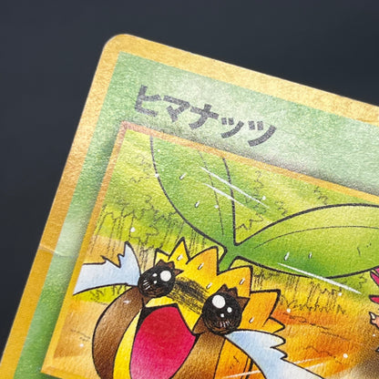 Sunkern 191 Natta Wake Vol.4 MP Promo Vintage Pokémon Card