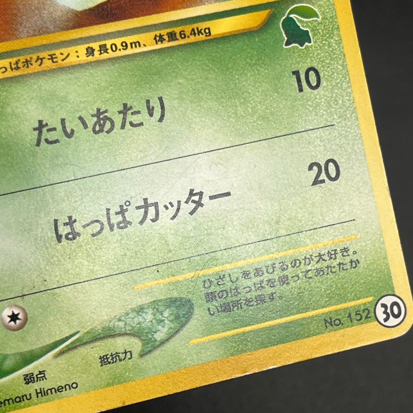Chikorita No. 152 Intro Pack Promo Half Deck Pokémon Card