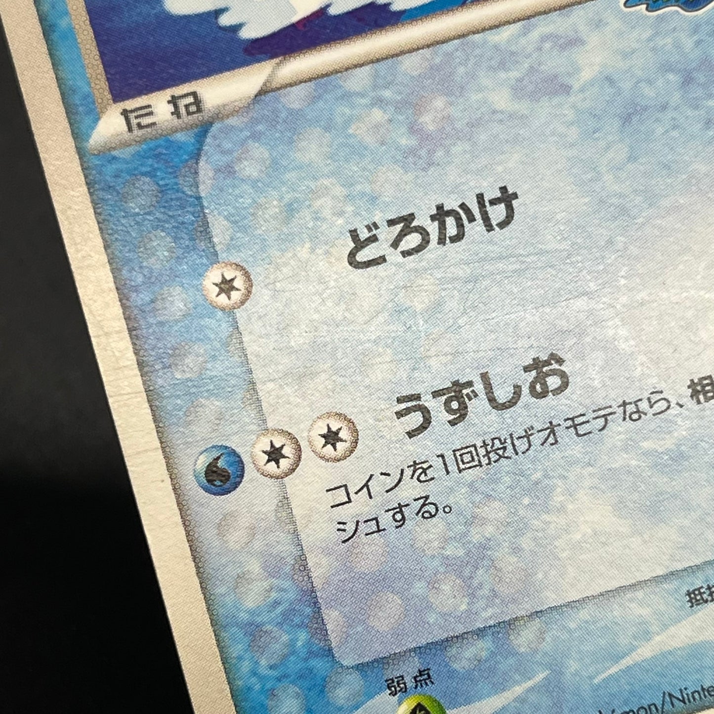 PokePark's Mudkip 048/PCG-P Promo Japanese Pokemon Card