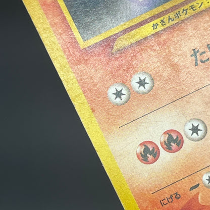 Quilava 156 Intro Pack Chikorita Half Deck Pokémon Card